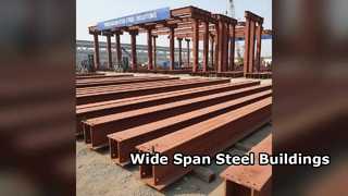 Steel Factory Buildings 6-12M Height Wide Span